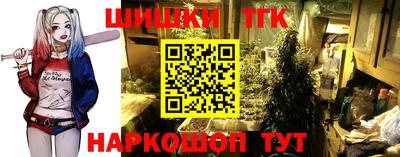 гашик Кандалакша