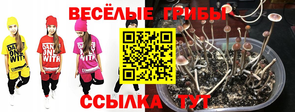 Кудымкар  Псилоцибиновые грибы Psilocybe  Псилоцибиновые грибы Cubensis  Вход с VPN 