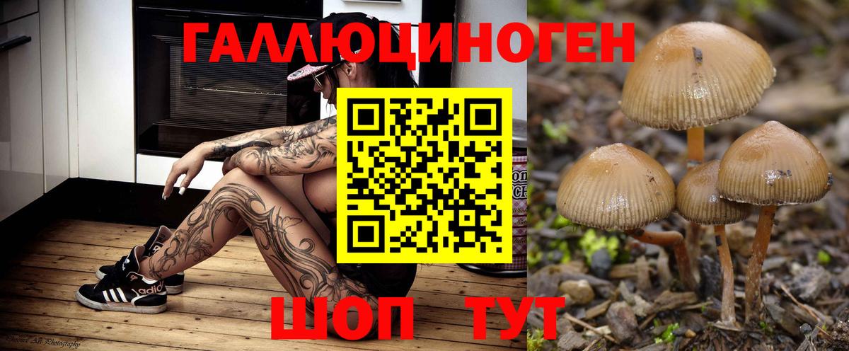 Псилоцибиновые грибы мухоморы Кудымкар